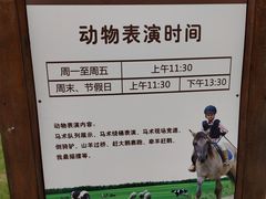 -大连铭湖国际观光牧场