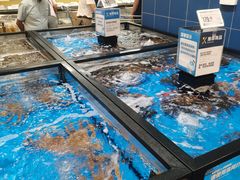 -盒马X会员店(王府井奥莱UP TOWN店)