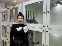 -青奢宠物·青奢猫舍