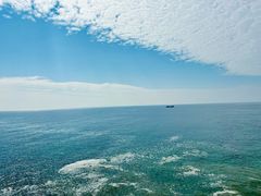 -广东惠东海龟国家级自然保护区