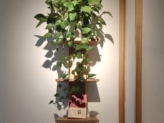 -瓦舍茶馆(聚源路店)