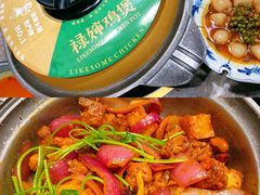 禄婶秘制鲍鱼鸡煲-禄婶鸡煲·打边炉