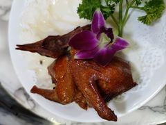 -鸽鸟轩(石岐店)