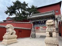 -五台山风景名胜区-罗睺寺