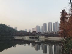 -重庆彩云湖湿地公园