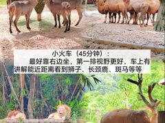 -广州长隆野生动物世界