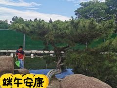 -中华孝德园