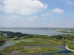 -莲花岛景区