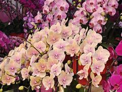 -东川新街市(东川市场店)