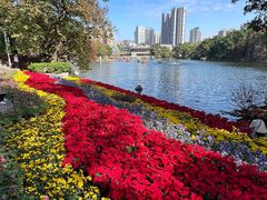 -荔湾湖公园
