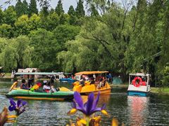 -上海共青森林公园