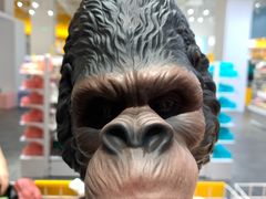 -KKV(深圳宏发大仟里店)