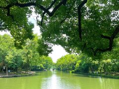 -西溪国家湿地公园