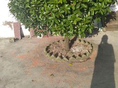 -安顺旧州古镇