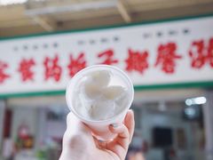 -洪馨椰子