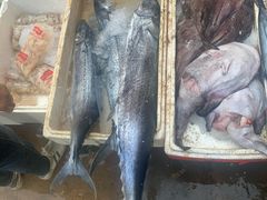 -济南海鲜大市场