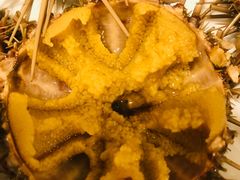 -海胆小馆(东北水饺·春柳店)