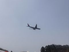 -空港花田景区
