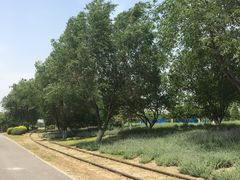 -永定河休闲森林公园