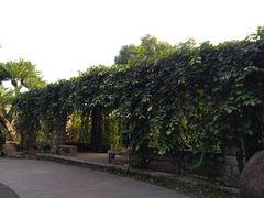-华南国家植物园-售票处