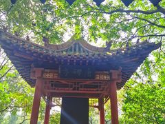 -碑林公园