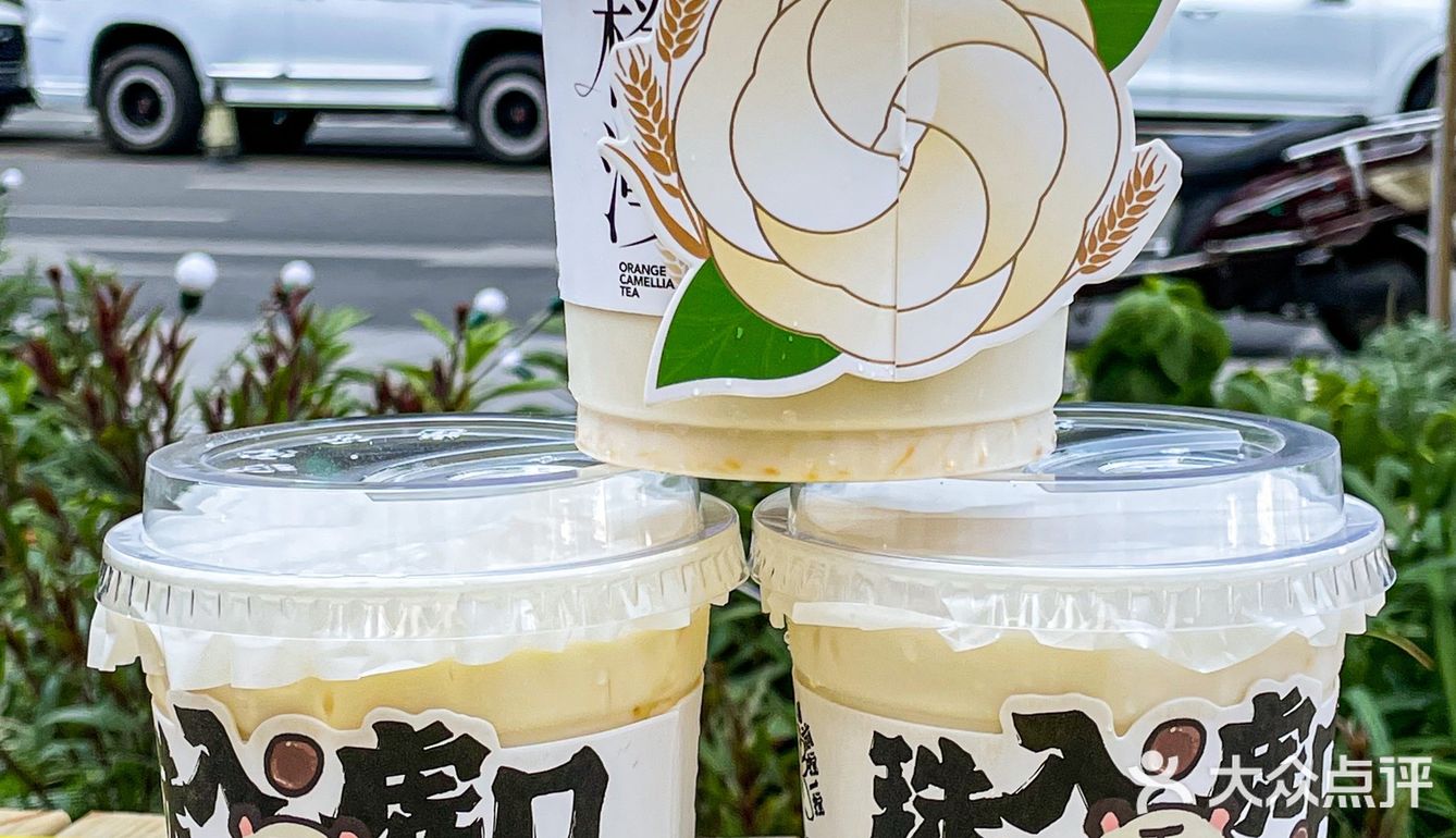 书亦又上新了！橙漫山茶花浪漫到犯规🌸