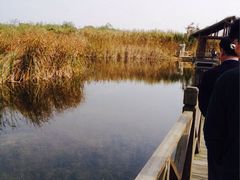 溱湖国家湿地公园-溱湖国家湿地公园