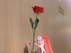 -海底捞火锅(奥体南路店)