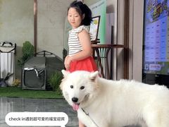 -上海崇明金茂凯悦酒店