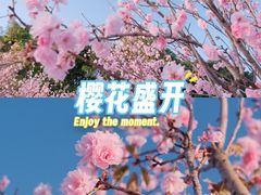 -观澜湖生态运动公社
