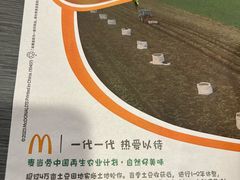 -麦当劳(春风店)