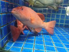-徐记海鲜(梅溪新天地店)