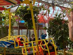 -南宫五洲植物乐园