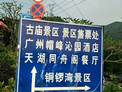 -广州市帽峰山景区