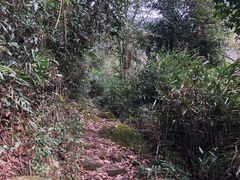 -青城山