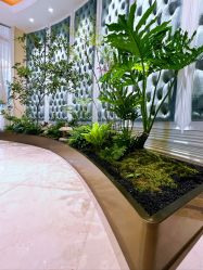 -琴美美容美发·三美会所