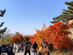-太和山风景区