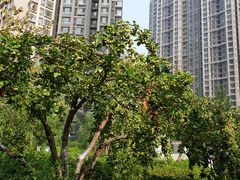 -绿茶餐厅(燕郊永旺店)