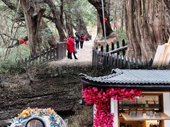 -剑门关风景区