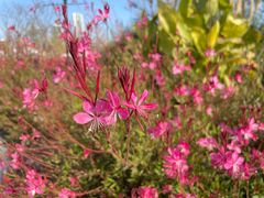 -上海山野camping·户外天幕烧烤·团建拓展营地