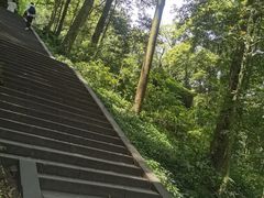 -青城山