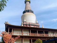 -张掖大佛寺景区