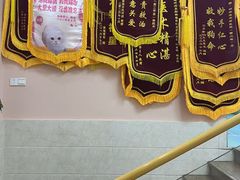 -动物缘宠物医院·骨科·猫科(西二环店)