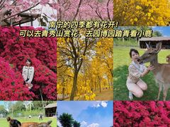 -桂小厨广西菜(印象城店)