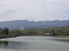 -田野绿世界