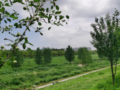 -洨河生态公园