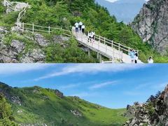 -牛背梁国家森林公园