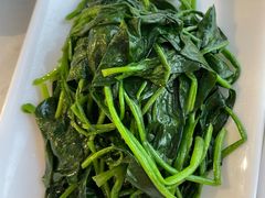 -云中小雅