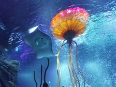 -沈阳海洋探索中心