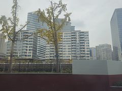 -兰拓相机租赁·维修·二手(上海店)